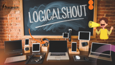 insights logicalshout
